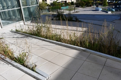 Keerwanden, op maat gemaakt, Cbs Beton, Theater, Rolstoelgebruikers, Architecten, MursDeSoutènement, Architectes, Entrepreneurs 
