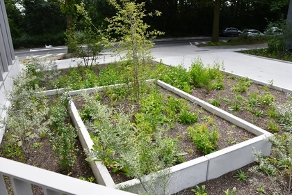 Trappen, Prefabbeton, CB Beton, stapstenen, L-Keerwanden, Campus, Murs en L, Marches de sol