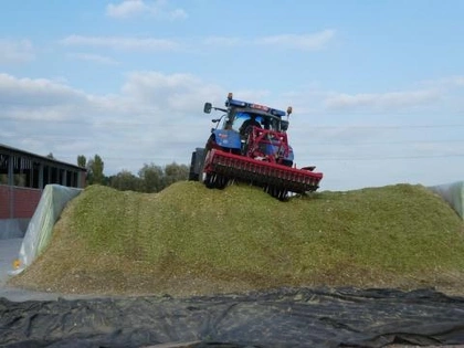 Sleufsilo, wanden landbouw, keerwanden, CBS Beton, Zulte 10