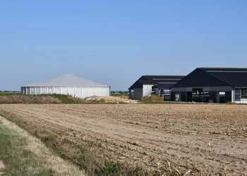  MESTSILO TE OUDENAARDE