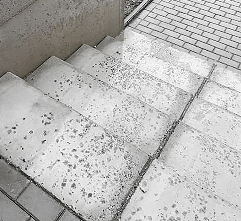 Gebruik van dooizout of dooikorrels